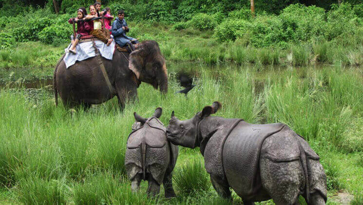 chitwan national park safari cost