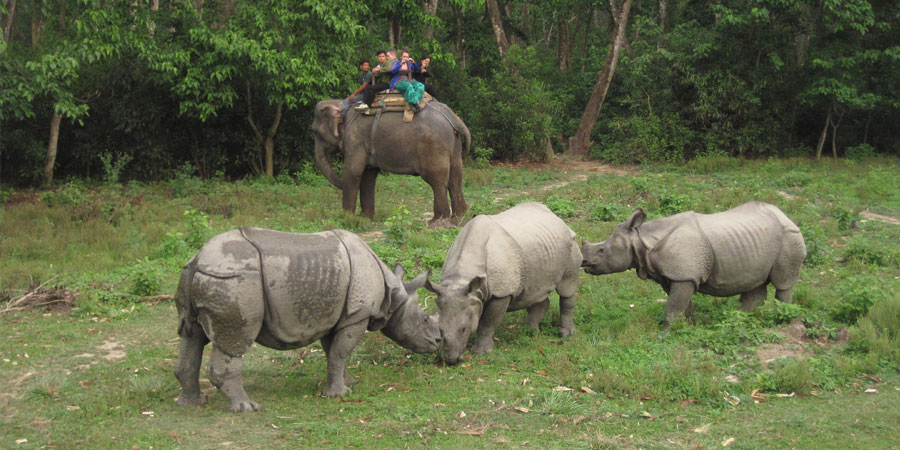 Chitwan National Park Tour Package Cost